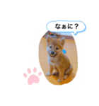 僕、北斗（個別スタンプ：14）