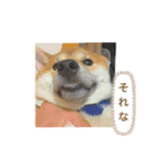 僕、北斗（個別スタンプ：15）