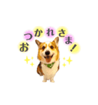 コーギー犬レオの日常3（個別スタンプ：3）