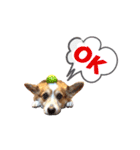 コーギー犬レオの日常3（個別スタンプ：7）