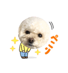 LALAだよん（個別スタンプ：8）