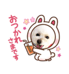 LALAだよん（個別スタンプ：9）