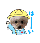 LALAだよん（個別スタンプ：11）