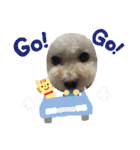 LALAだよん（個別スタンプ：14）