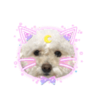 LALAだよん（個別スタンプ：16）