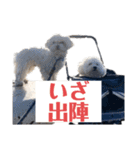 Angel ＆ Heidi(bonus aiku（個別スタンプ：14）
