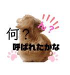 ロンメル楽しい毎日☆monash☆with friend（個別スタンプ：11）
