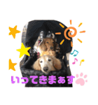 ロンメル楽しい毎日☆monash☆with friend（個別スタンプ：18）