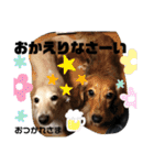 ロンメル楽しい毎日☆monash☆with friend（個別スタンプ：21）