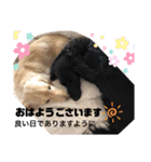 ロンメル楽しい毎日☆monash☆with friend（個別スタンプ：24）