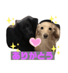 ロンメル楽しい毎日☆monash☆with friend（個別スタンプ：28）