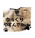 ロンメル楽しい毎日☆monash☆with friend（個別スタンプ：39）