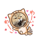 個性豊かニャンズ（個別スタンプ：7）