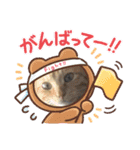 個性豊かニャンズ（個別スタンプ：8）