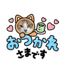 個性豊かニャンズ（個別スタンプ：9）
