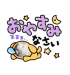 個性豊かニャンズ（個別スタンプ：16）