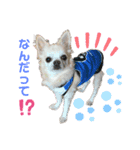 雷（らい）（個別スタンプ：1）