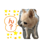 雷（らい）（個別スタンプ：4）