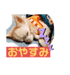 雷（らい）（個別スタンプ：5）