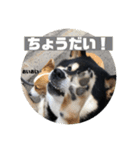 桃香スタンプその2（個別スタンプ：17）