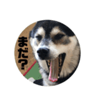 桃香スタンプその2（個別スタンプ：23）
