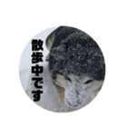 桃香スタンプその2（個別スタンプ：27）