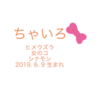 ウチの小鳥〜’ず（個別スタンプ：1）