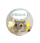 ハムスター 剛（個別スタンプ：5）
