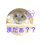 ハムスター 剛（個別スタンプ：9）