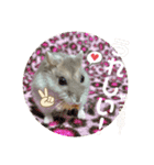 ハムスター 剛（個別スタンプ：10）