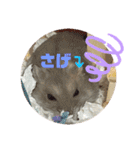ハムスター 剛（個別スタンプ：11）