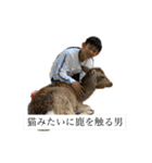 reipyon's club 1（個別スタンプ：11）
