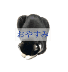 reipyon's club 1（個別スタンプ：15）