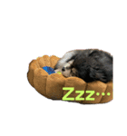ぽめせんとぽめぐう（個別スタンプ：3）