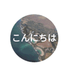 南国行きたい。（個別スタンプ：4）