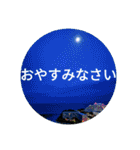 南国行きたい。（個別スタンプ：7）