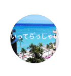 南国行きたい。（個別スタンプ：11）