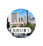 南国行きたい。（個別スタンプ：15）