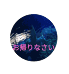 南国行きたい。（個別スタンプ：16）