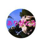 南国行きたい。（個別スタンプ：19）