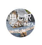南国行きたい。（個別スタンプ：21）