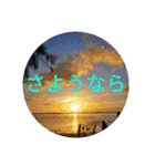 南国行きたい。（個別スタンプ：24）