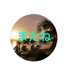 南国行きたい。（個別スタンプ：25）