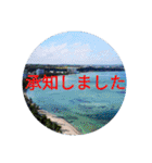南国行きたい。（個別スタンプ：27）