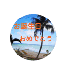 南国行きたい。（個別スタンプ：37）