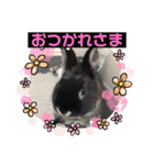 黒うさぎのたも丸くん♥（個別スタンプ：3）