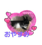 黒うさぎのたも丸くん♥（個別スタンプ：7）