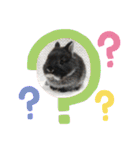 黒うさぎのたも丸くん♥（個別スタンプ：14）