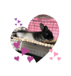 黒うさぎのたも丸くん♥（個別スタンプ：16）