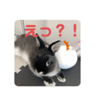 黒うさぎのたも丸くん♥（個別スタンプ：18）